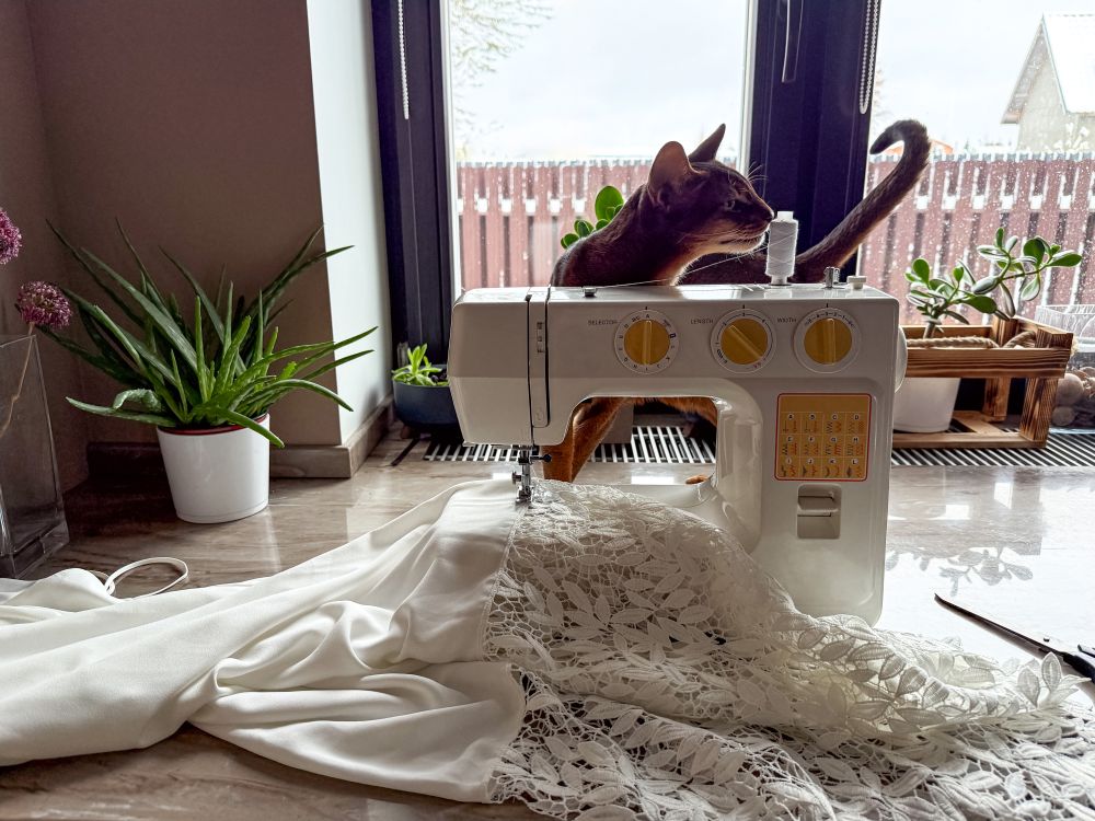 Protéger sa machine contre les chats