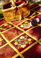 CD 264 Layered Quilting With Appliqué photo