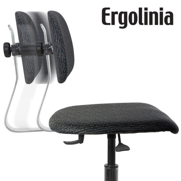 Chaise evo2 profi